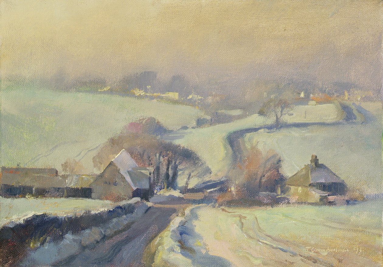 Frosty Fields, Aston, 1991 by Trevor Chamberlain