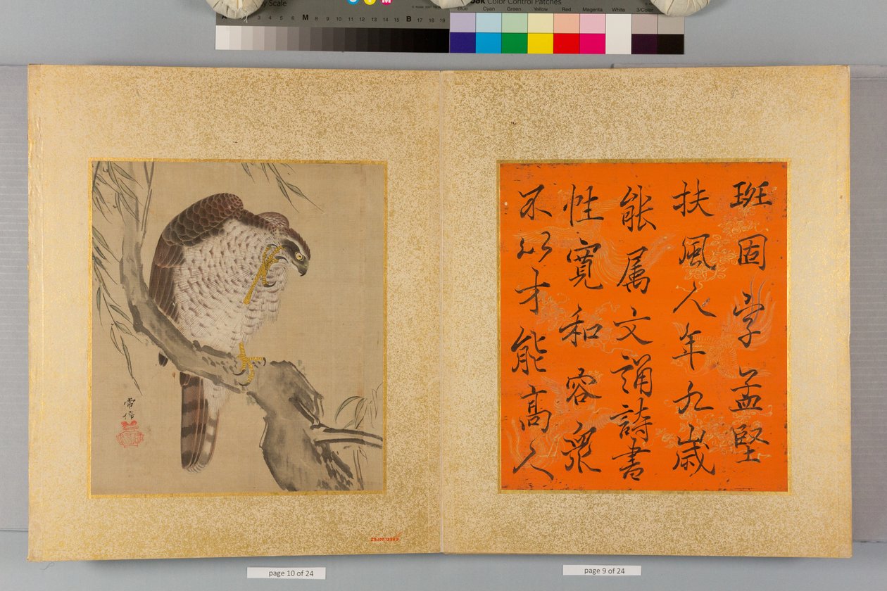 Album of Hawks and Calligraphy by Tsunenobu Kano