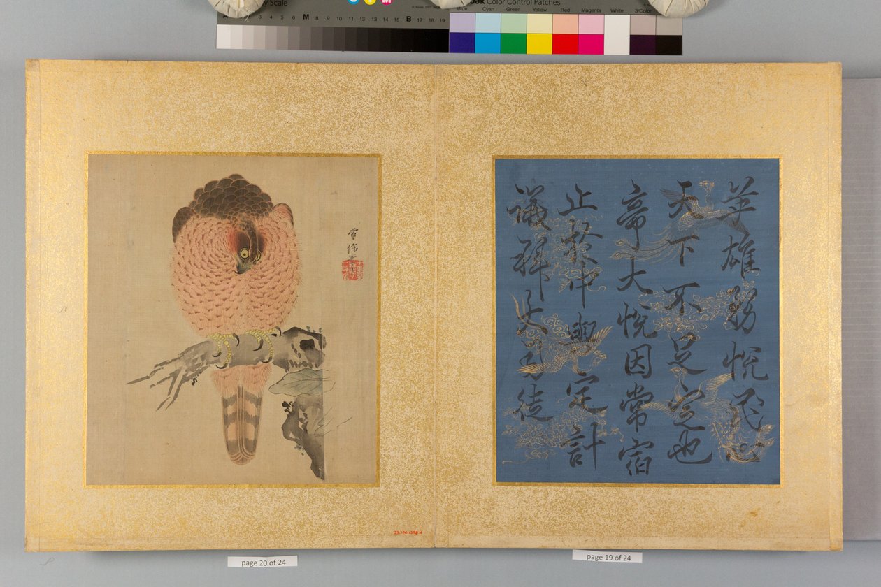 Album of Hawks and Calligraphy by Tsunenobu Kano