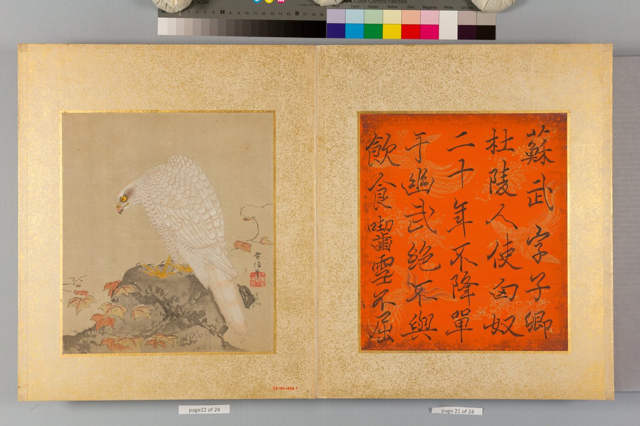 Album of Hawks and Calligraphy by Tsunenobu Kano
