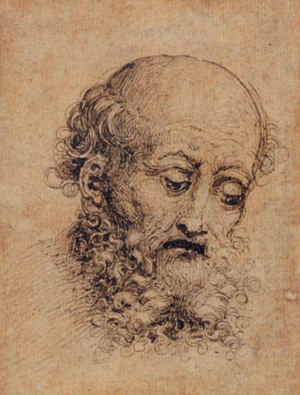 Bearded Man