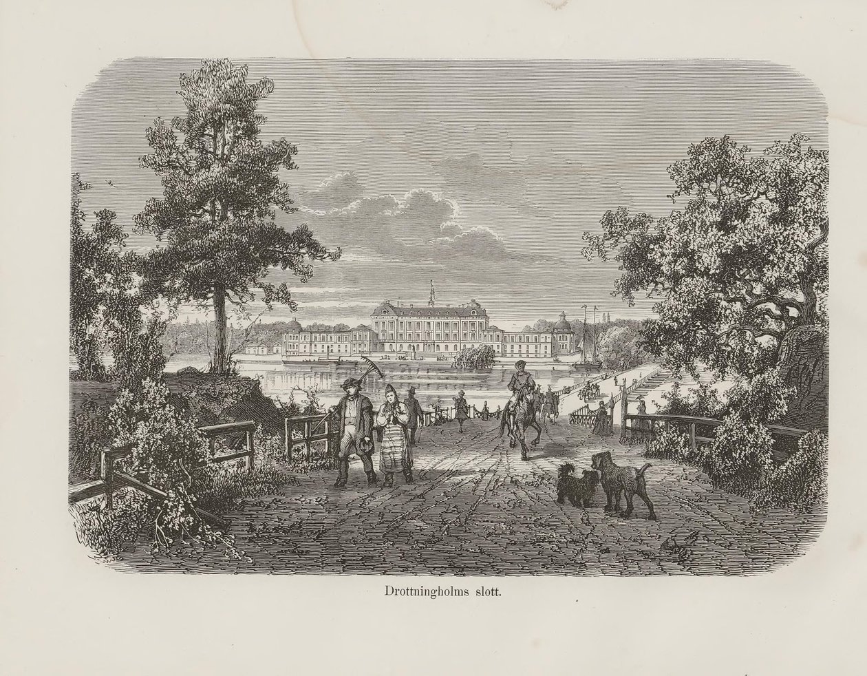 Illustration from the Book 