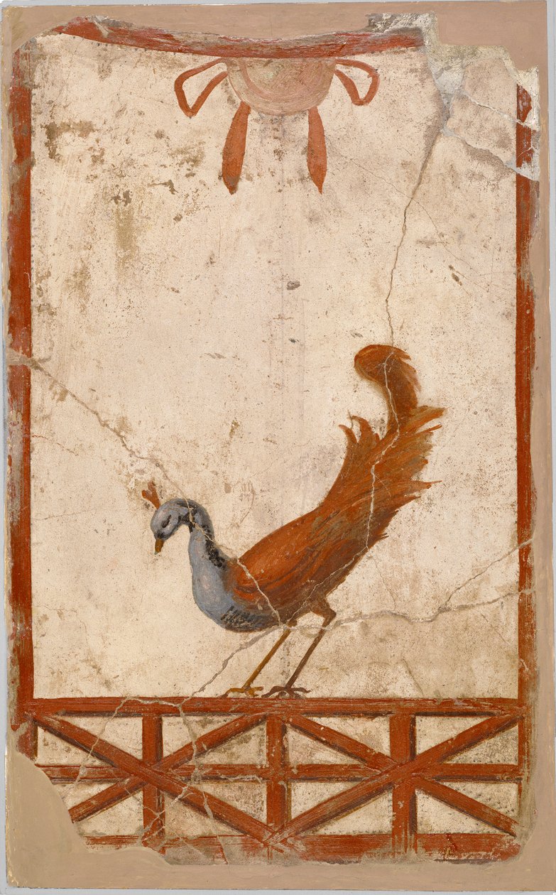 Wall Fragment with a Peacock by Unbekannt Unbekannt
