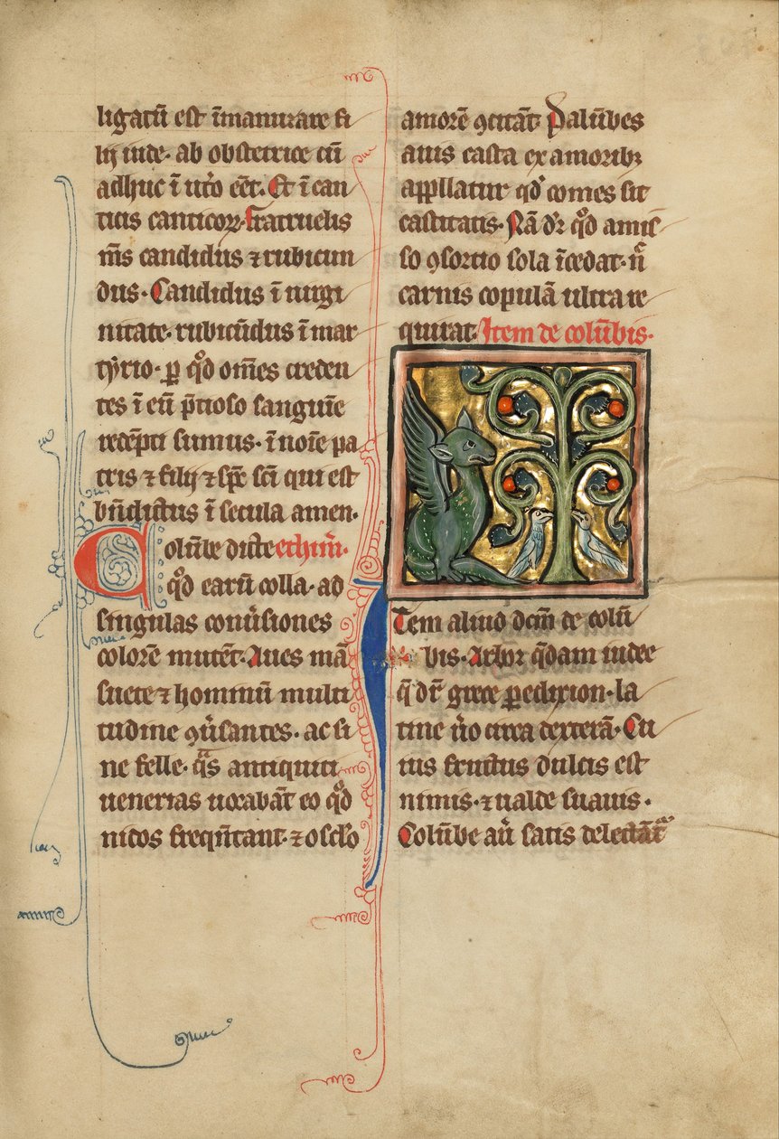 A Dragon and Two Doves in a Tree by Unbekannt Unbekannt