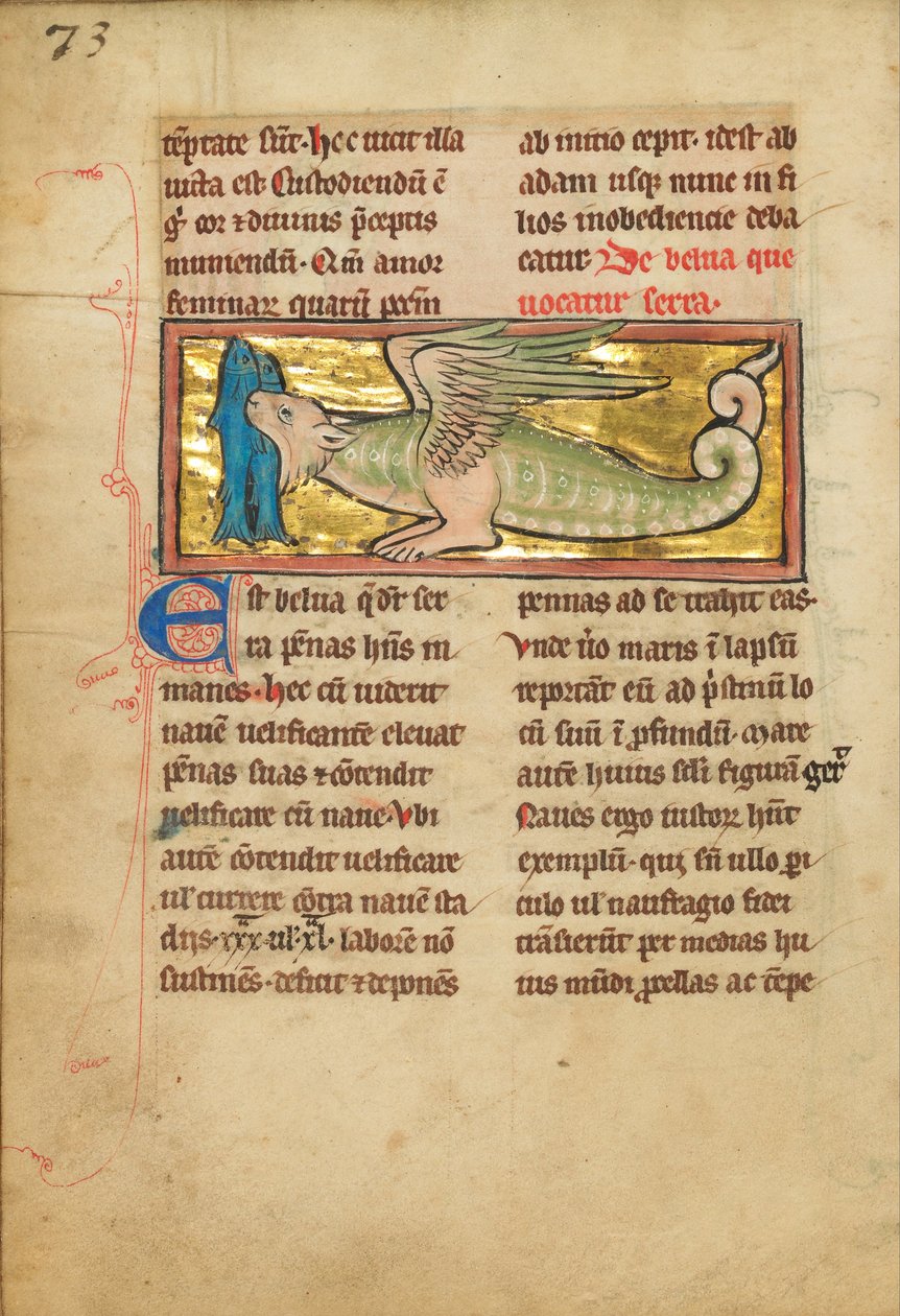 A Dragon-like Animal with Wings by Unbekannt Unbekannt