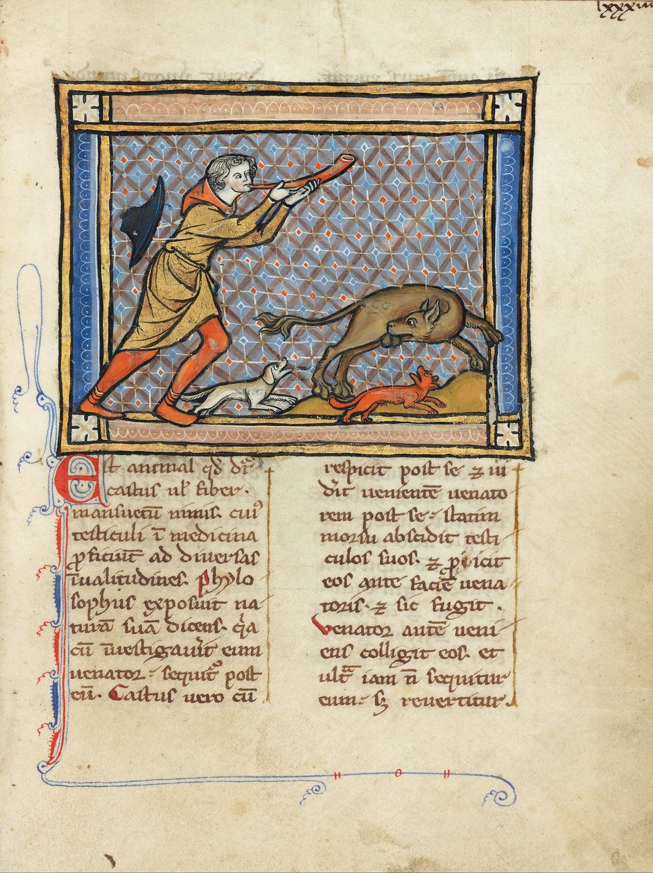 A Hunter Blowing His Horn While His Dogs Attack a Beaver by Unbekannt Unbekannt