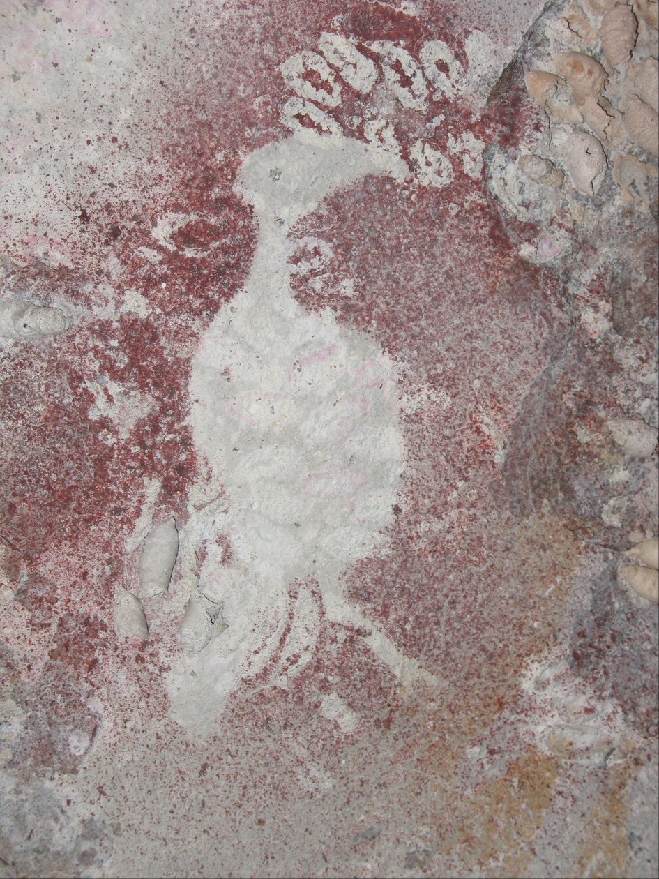 Bird Stencil 4 by Unbekannt Unbekannt