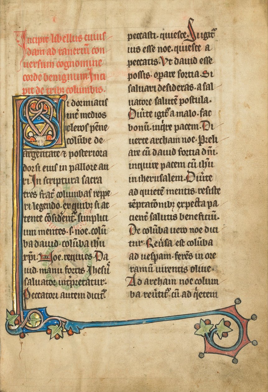 Decorated Initial S by Unbekannt Unbekannt