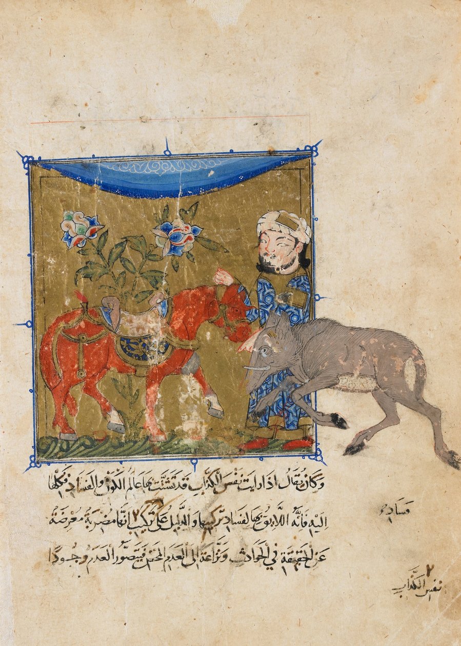 Folio from a Sulwan al-Muta by Ibn Zafar; Verso: The Boar and the Horse by Unbekannt Unbekannt