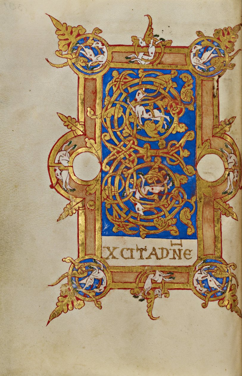 Inhabited Initial E by Unbekannt Unbekannt