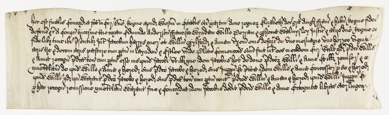 Land, Layndon, 20 Acres and 1 Messuage Called, Date Octo. 1585 by Unbekannt Unbekannt