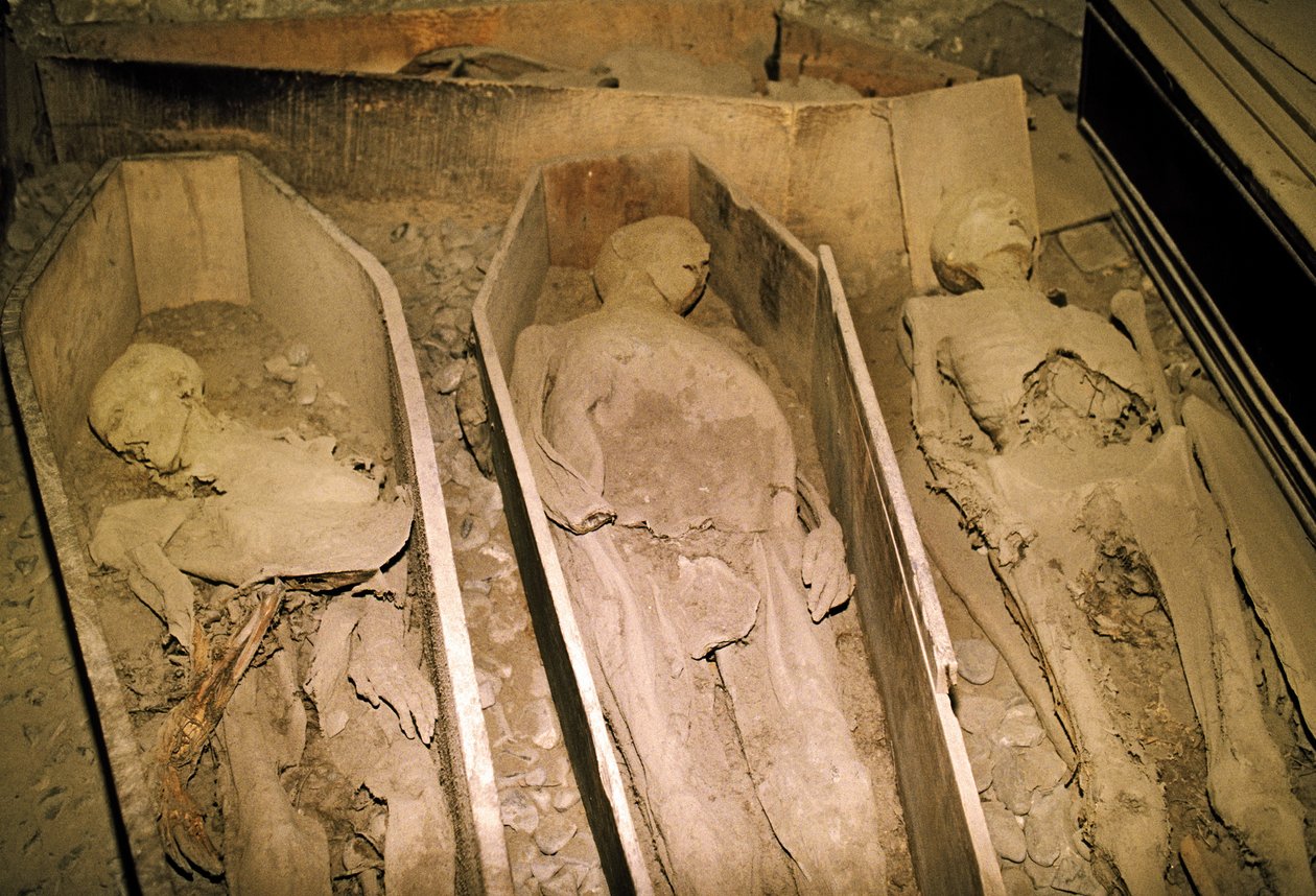 Mummified Bodies by Unbekannt Unbekannt