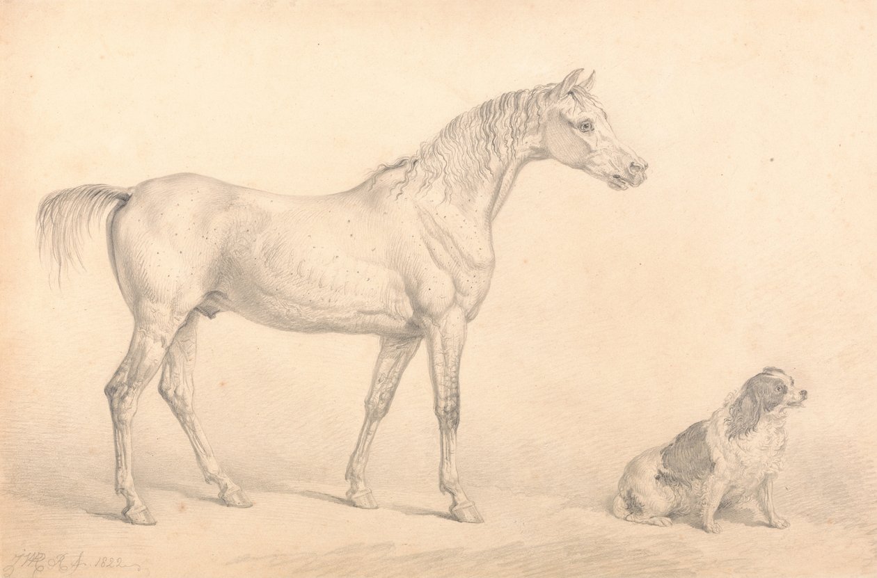 Portraits of a Gray Horse and a Black and White Spaniel, the Property of the Right Honorable C. Arbur by Unbekannt Unbekannt
