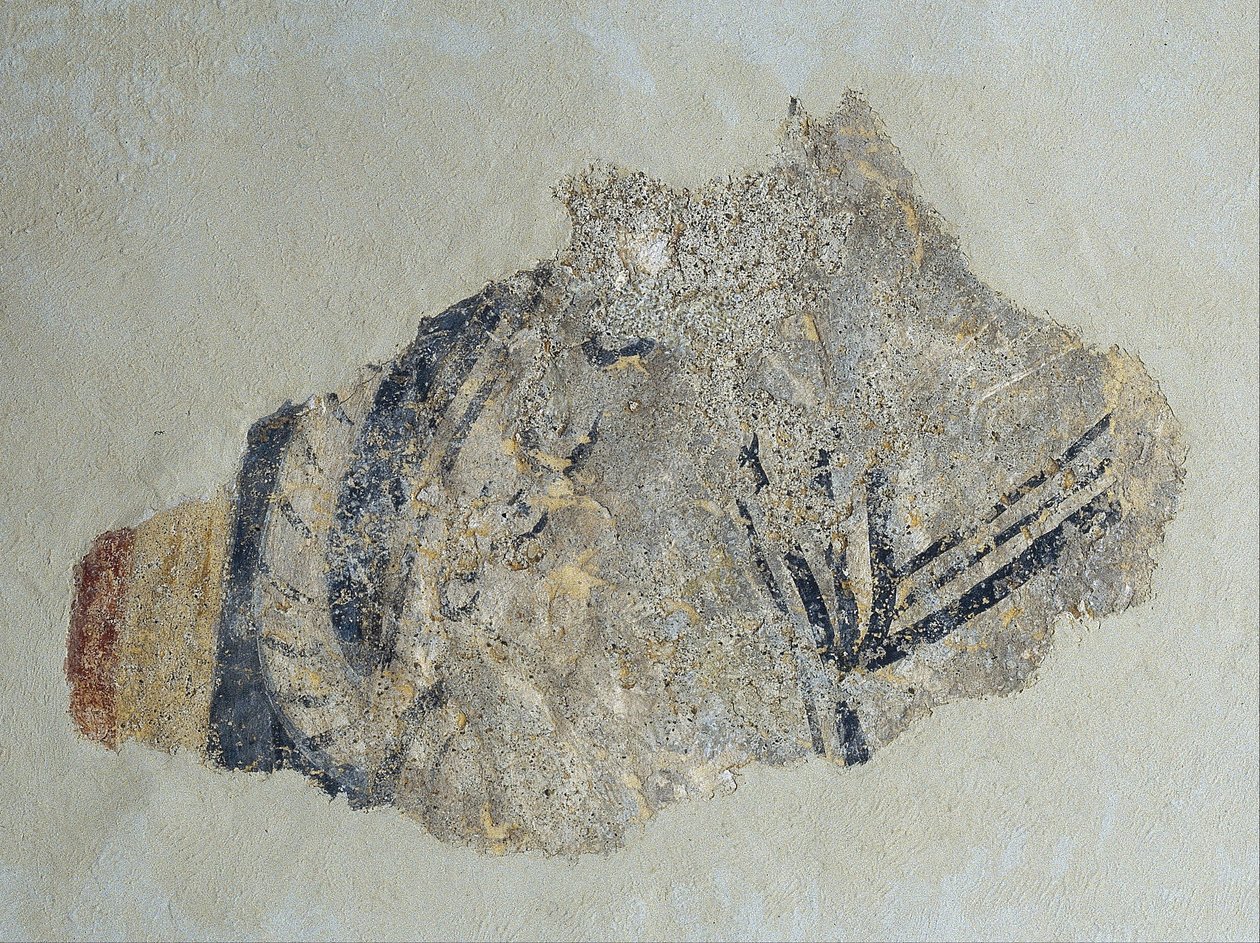 Remains of a Quadruped from Sant Joan de Boí by Unbekannt Unbekannt