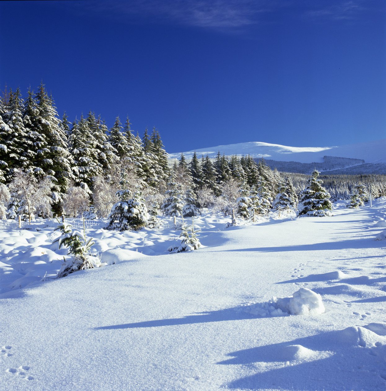 The Wicklow Mountains in Winter by Unbekannt Unbekannt