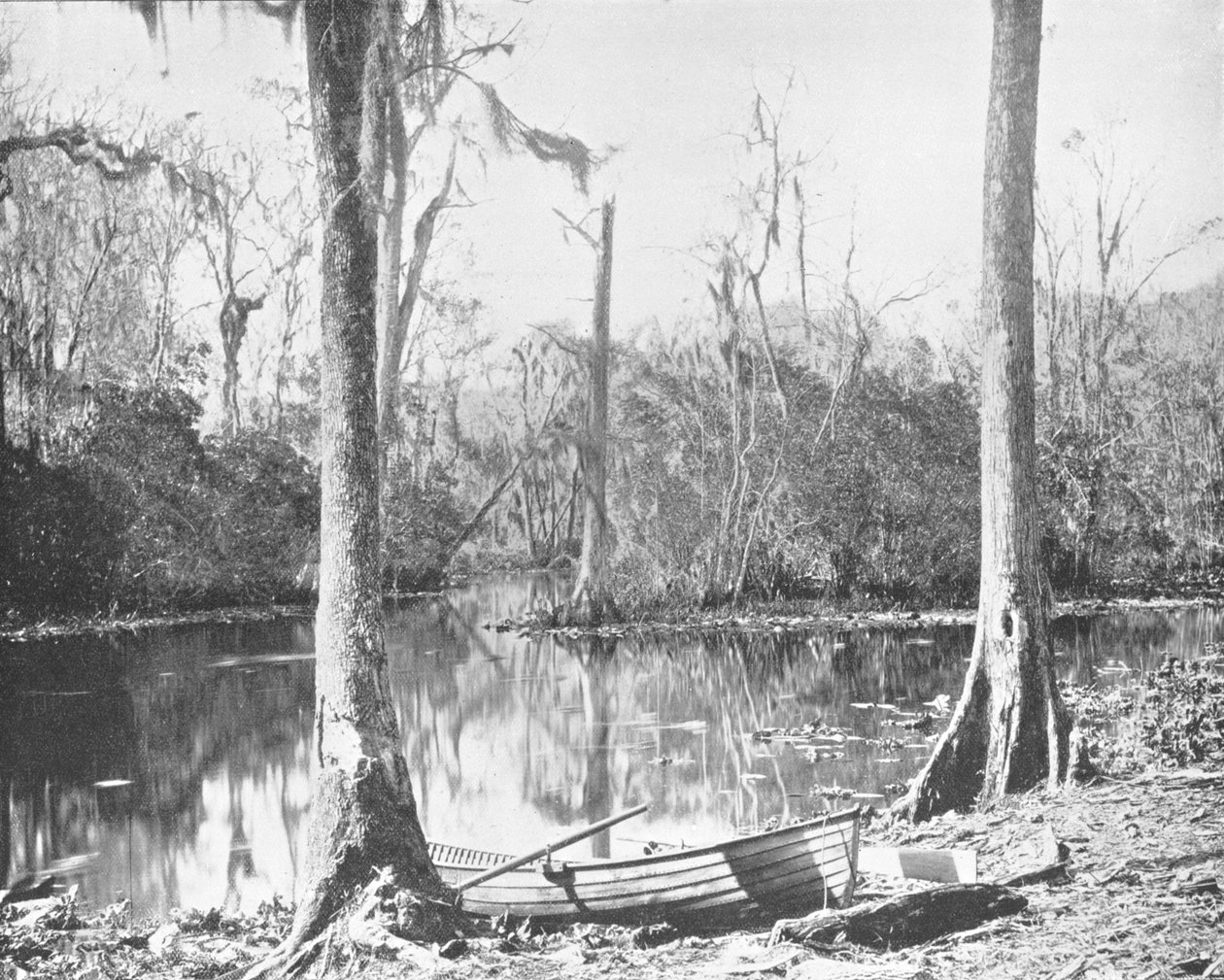 A Feeder of the St. Johns River, Florida, USA, c1900 by Unbekannt