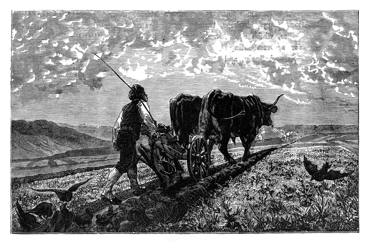 A French agriculturist by Unbekannt