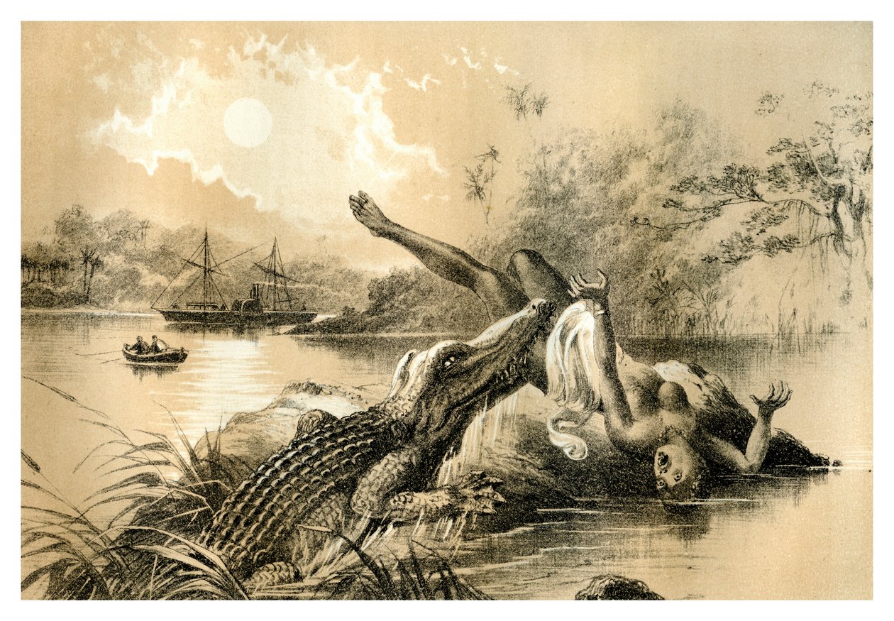 A Frightful Incident, 1883 by Unbekannt