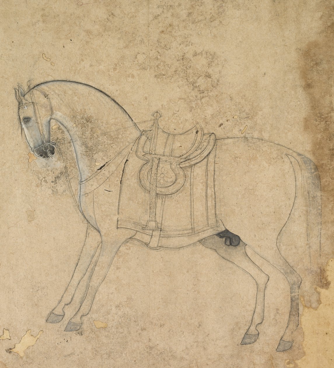 A Saddled Horse by Unbekannt