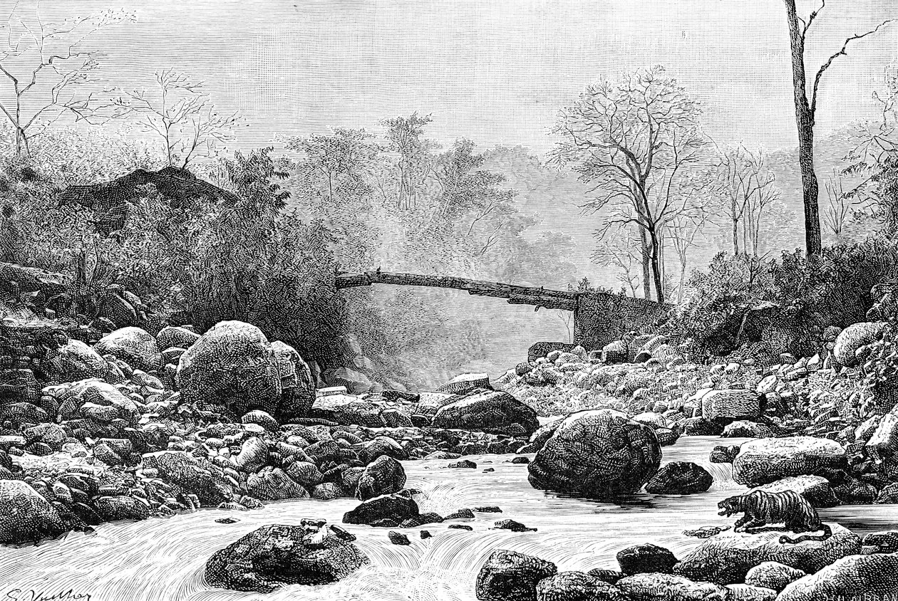 A bridge over the Rangit, a tributary of the river Teesta, India by Unbekannt