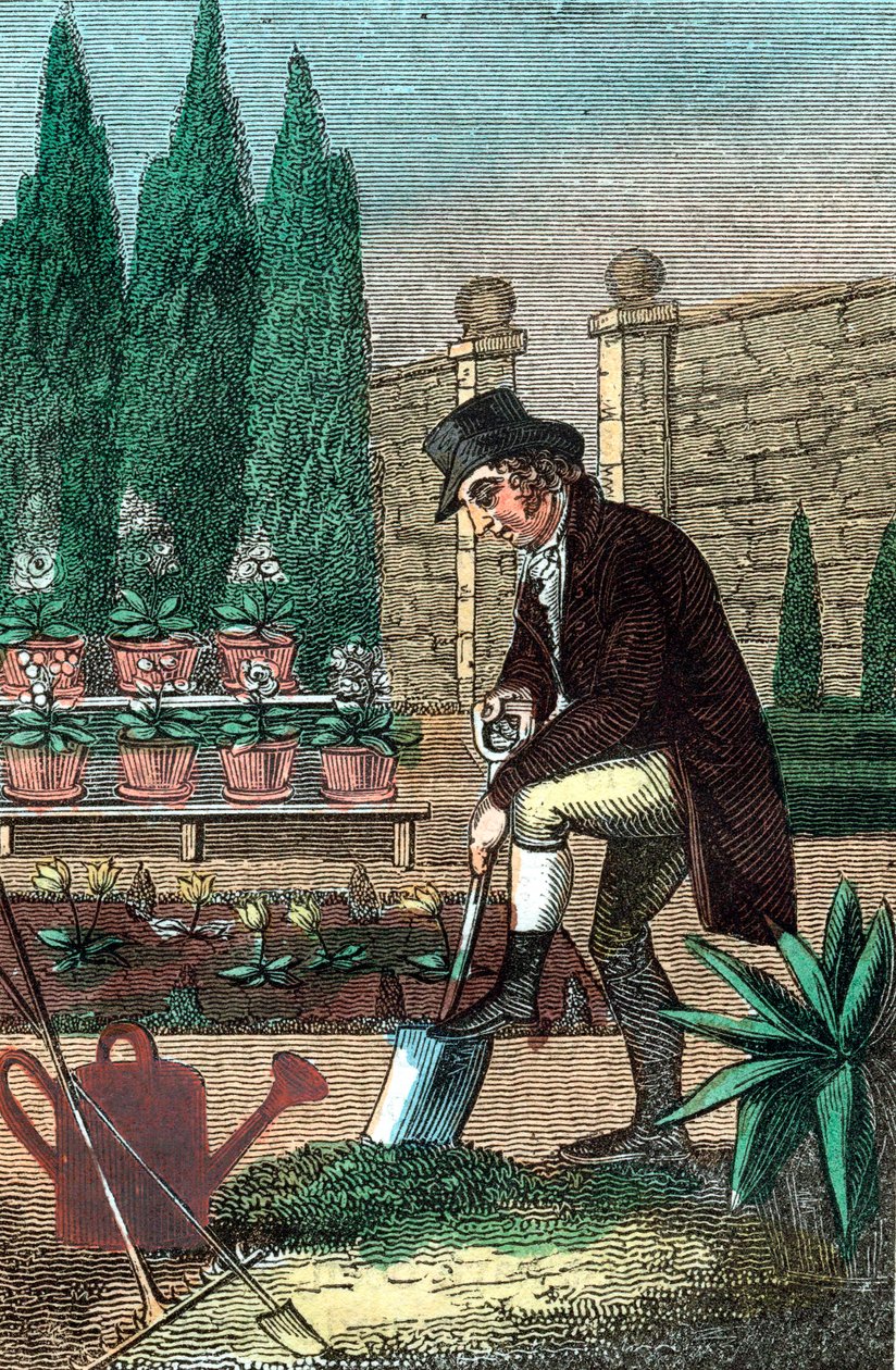 A Gardener Digging with a Spade, 1821 by Unbekannt