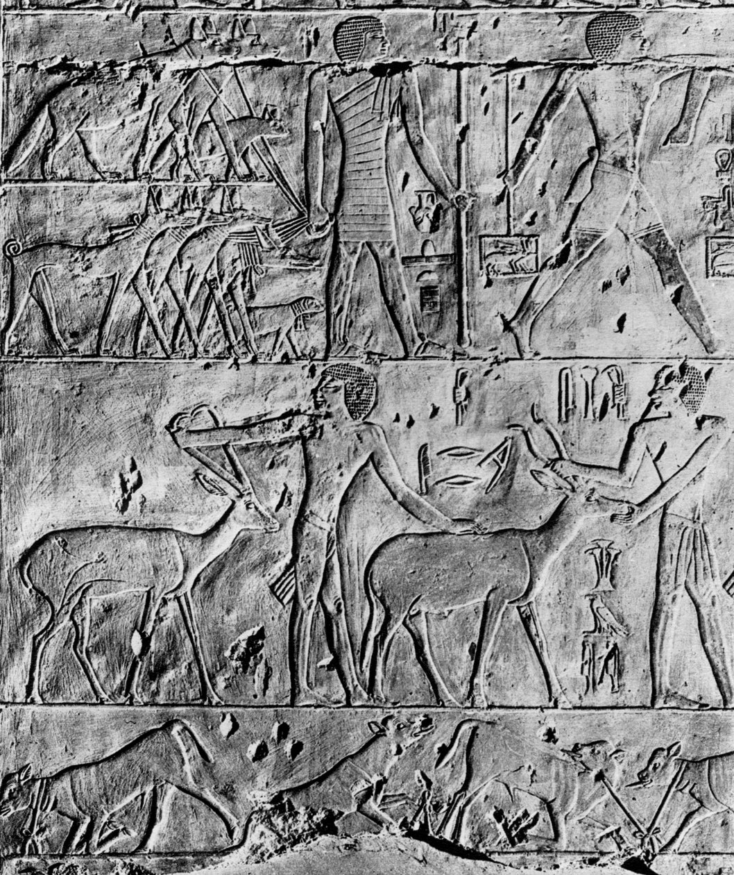 A Hunting Scene from the Tomb of Ptahhotep, Near Saqqara, Egypt, c2650 BC by Unbekannt