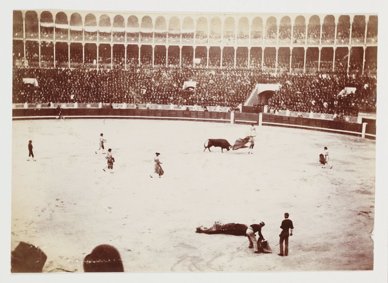 Bullfight in Las Ventas del Espiritu Santo bullring, Madrid, c 1930 by Unbekannt