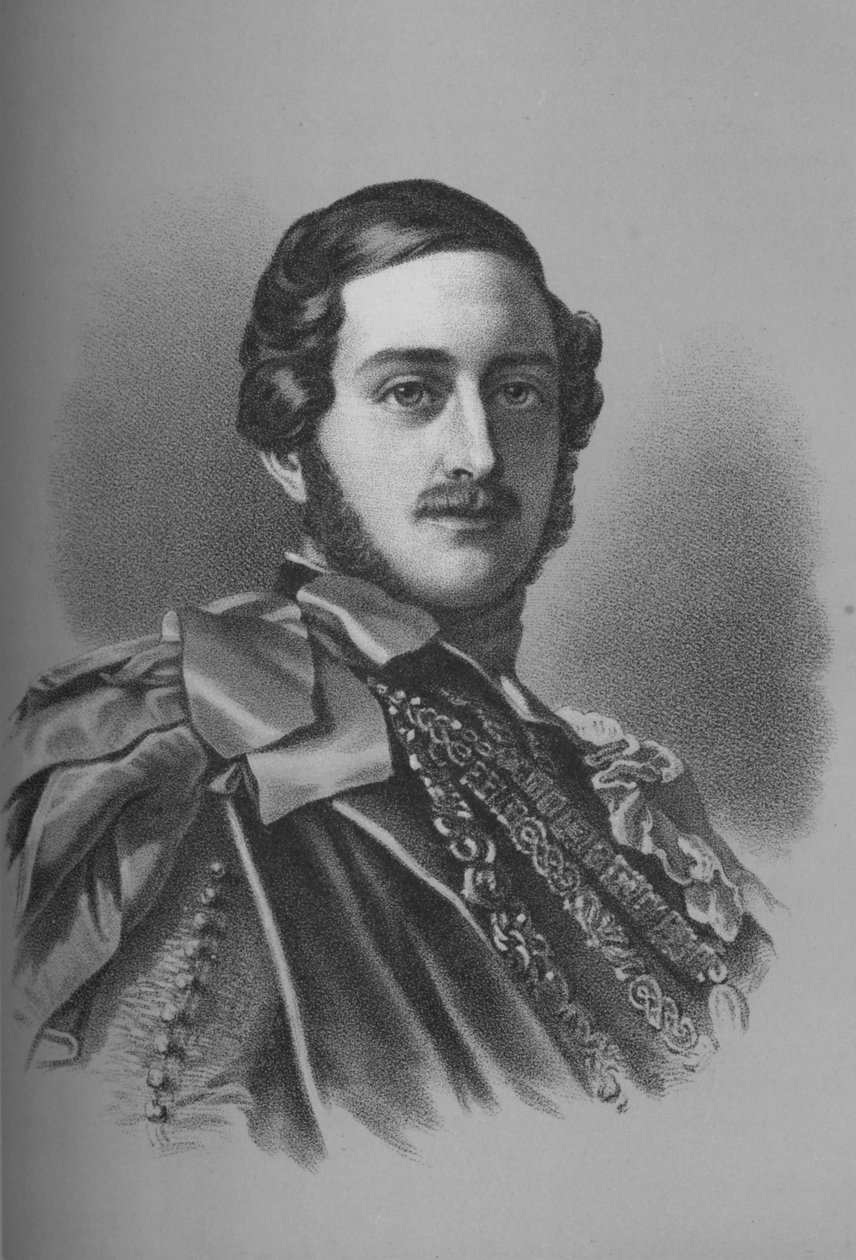 Albert, Prince Consort by Unbekannt