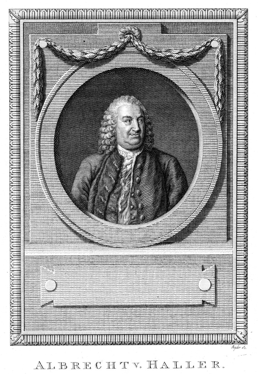 Albrecht von Haller, Swiss physician and scientist, c1770 c1780 by Unbekannt