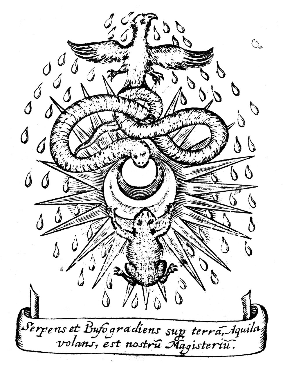 Alchemical Symbolism, 1652 by Unbekannt