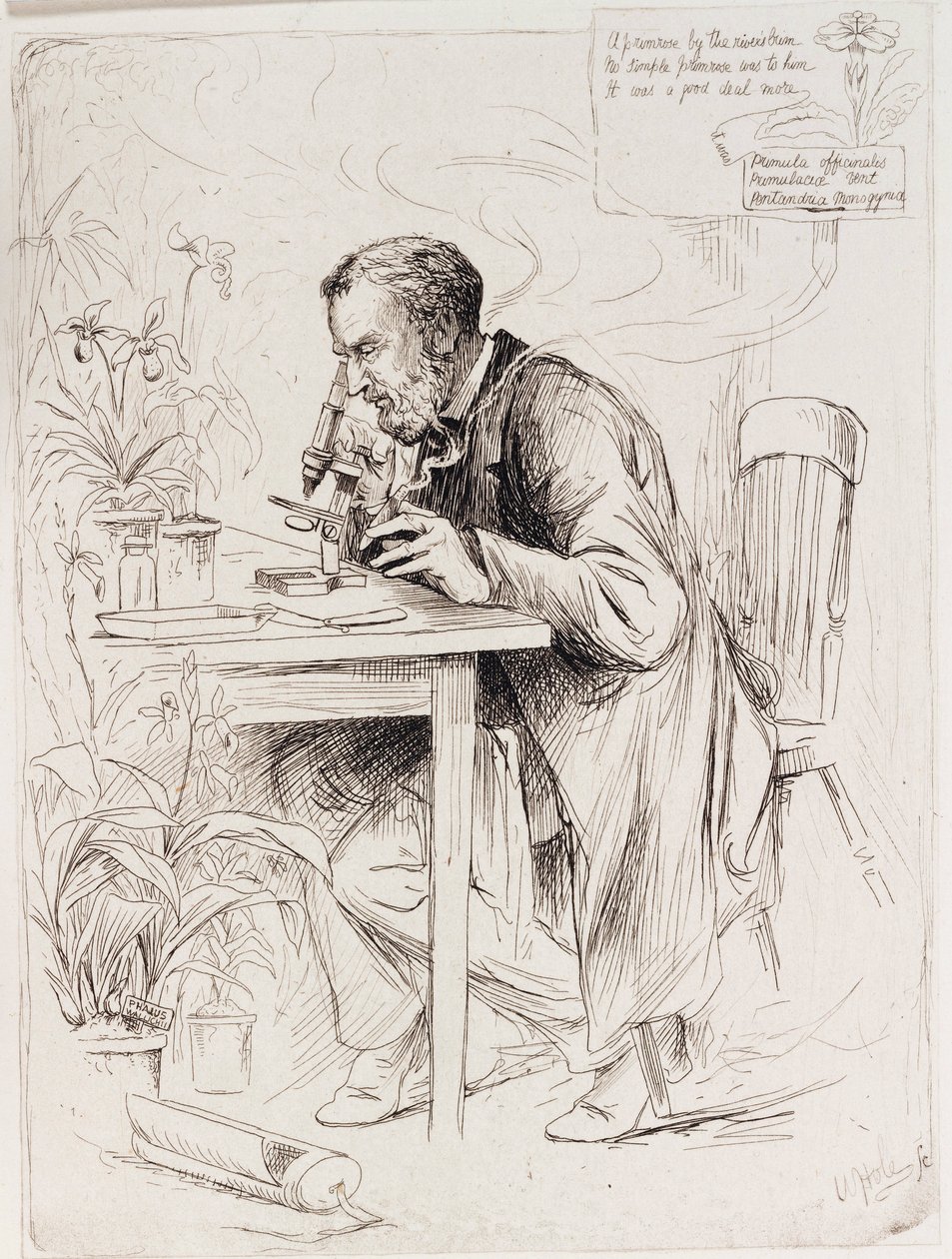 Alexander Dickson, botanist by Unbekannt