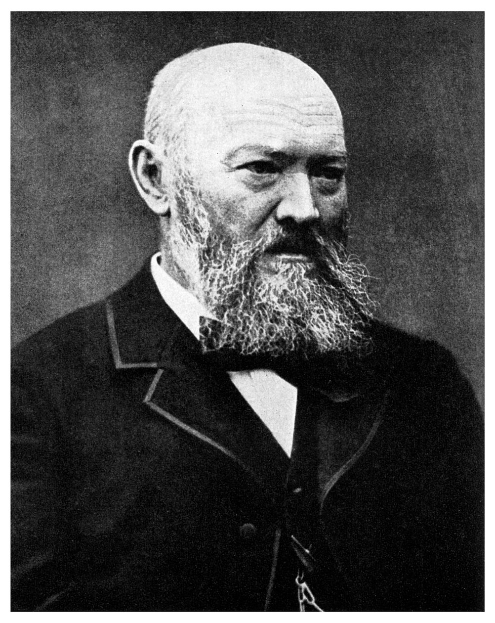 Alexander Ostrovsky, Russian Dramatist by Unbekannt