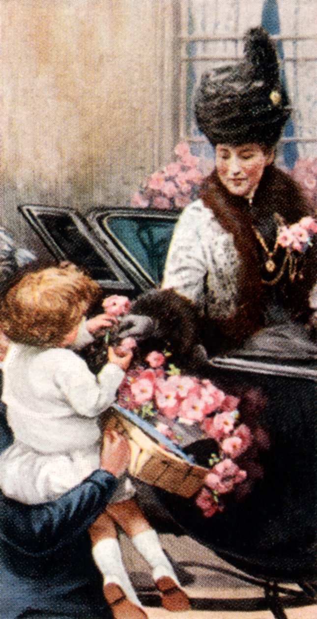 Alexandra Rose Day, c1935 by Unbekannt