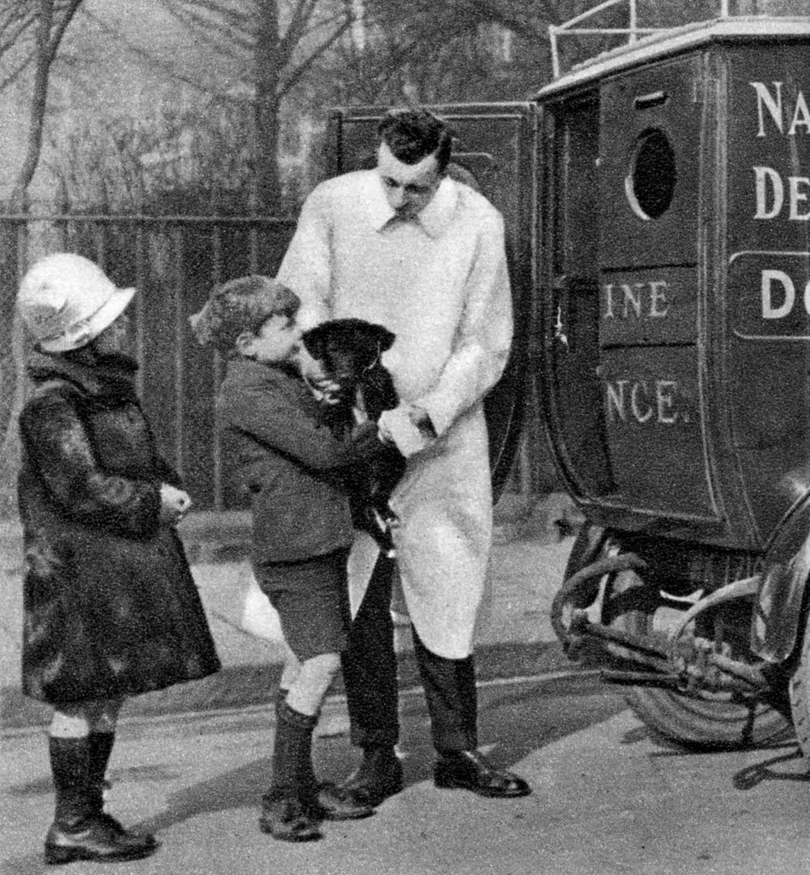 Ambulance of the National Canine Defence League, London, 1926-1927 by Unbekannt