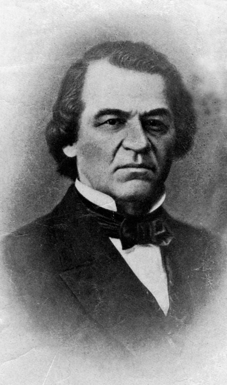 Andrew Johnson, President of the United States, 20th century by Unbekannt