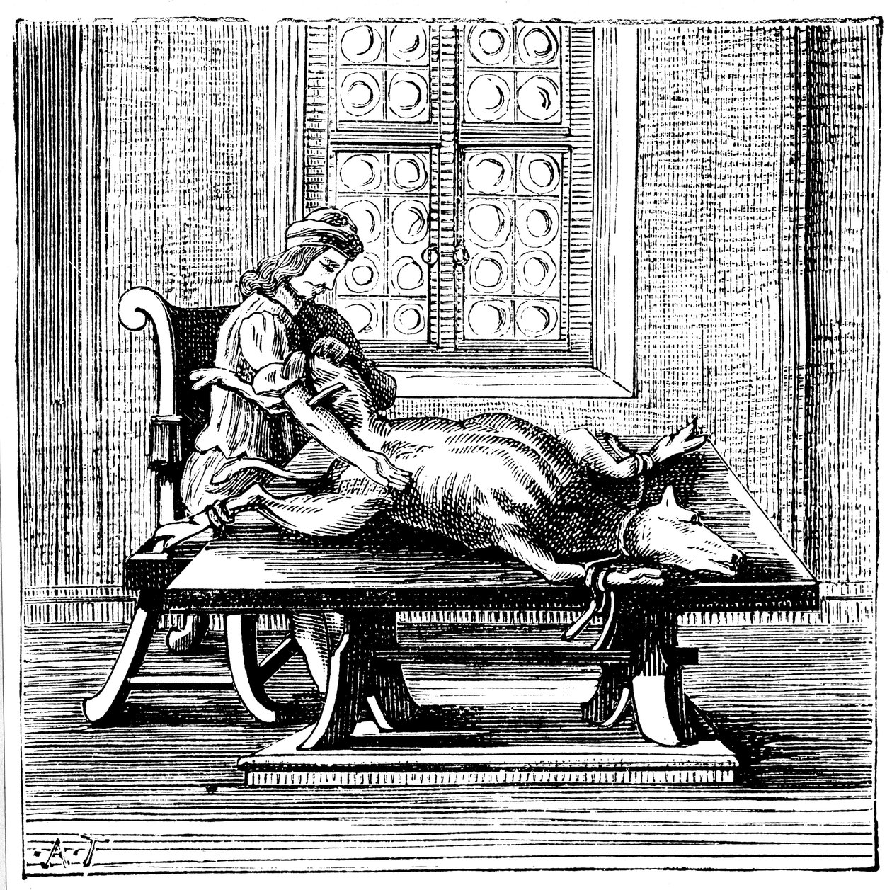 Animal-to-Human Blood Transfusion, 1679 by Unbekannt