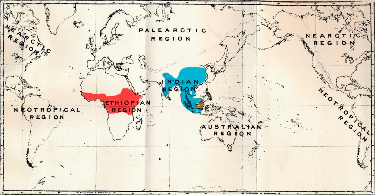 Anthropoidea - Map distribution Genera Semnopithecus Blue, Nasalis Brown, Colobus Red, 1897 by Unbekannt
