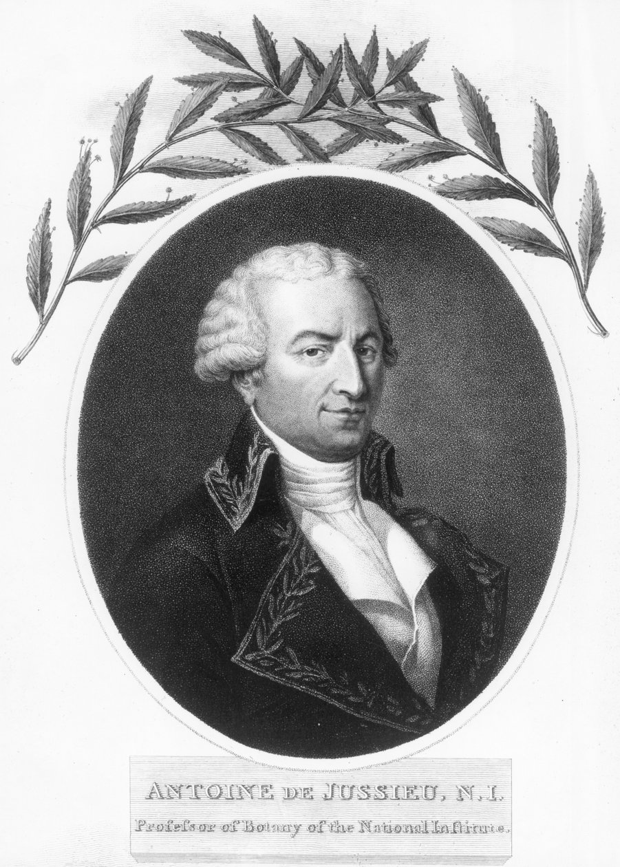 Antoine de Jussieu, 18th Century French Botanist, 1807 by Unbekannt