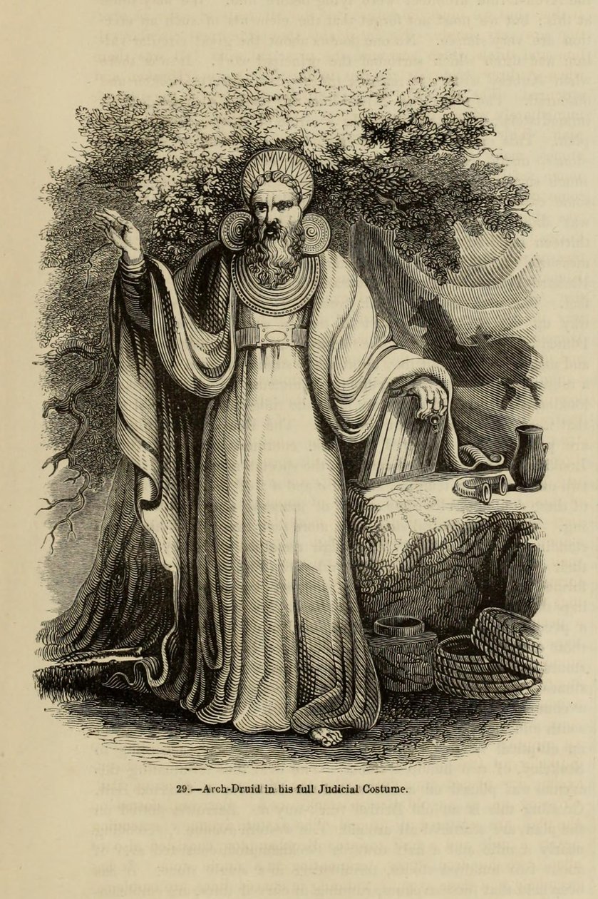 Arch-Druid in his full Judicial Costume, from the book Old England: A Pictorial Museum by Unbekannt