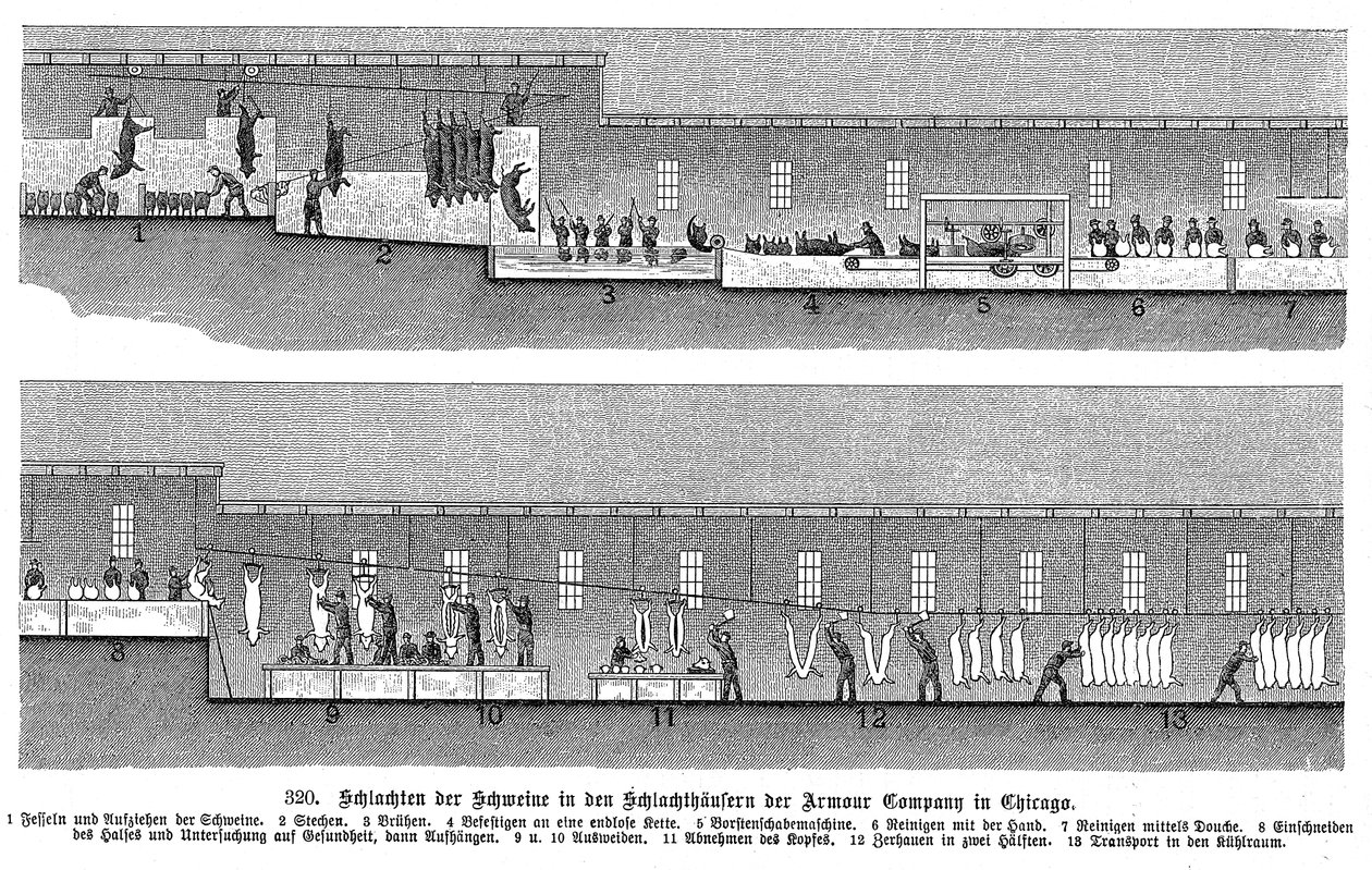 Armour Company