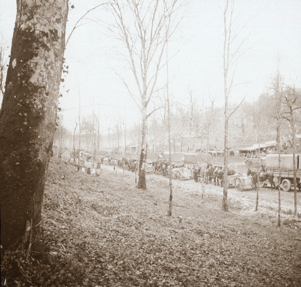 Artillery, Somme, Northern France by Unbekannt