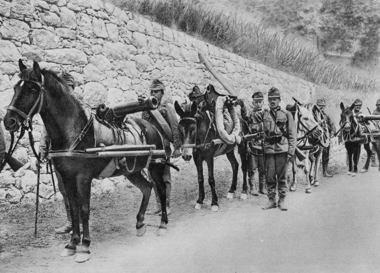 Austrian soldiers, Austro-Italian war, Battle of the Isonzo, World War I, 1915 by Unbekannt