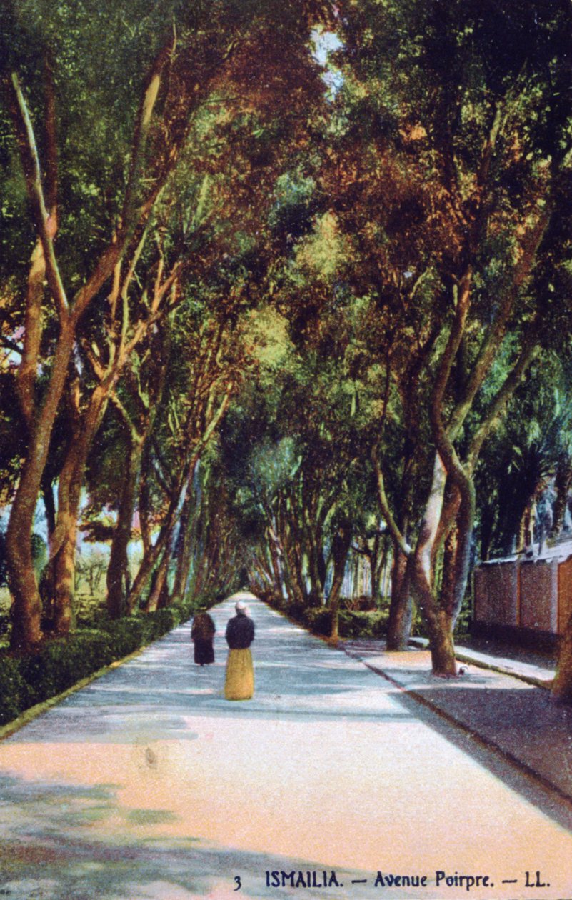 Avenue Poirpre, Ismailia, Egypt by Unbekannt