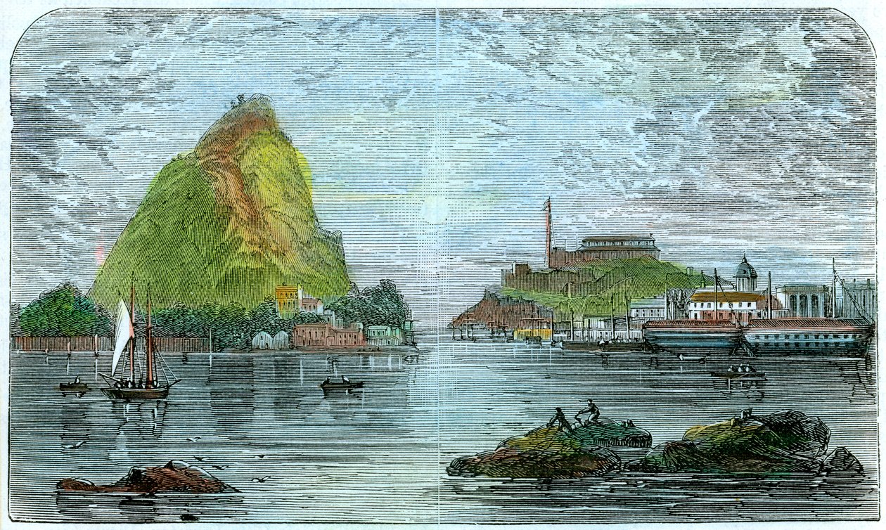 Bermuda, c1880 by Unbekannt