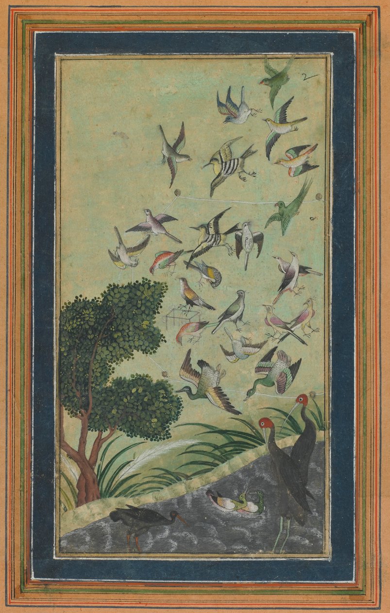 Birds at Baran, possibly from the Babur-nama by Unbekannt