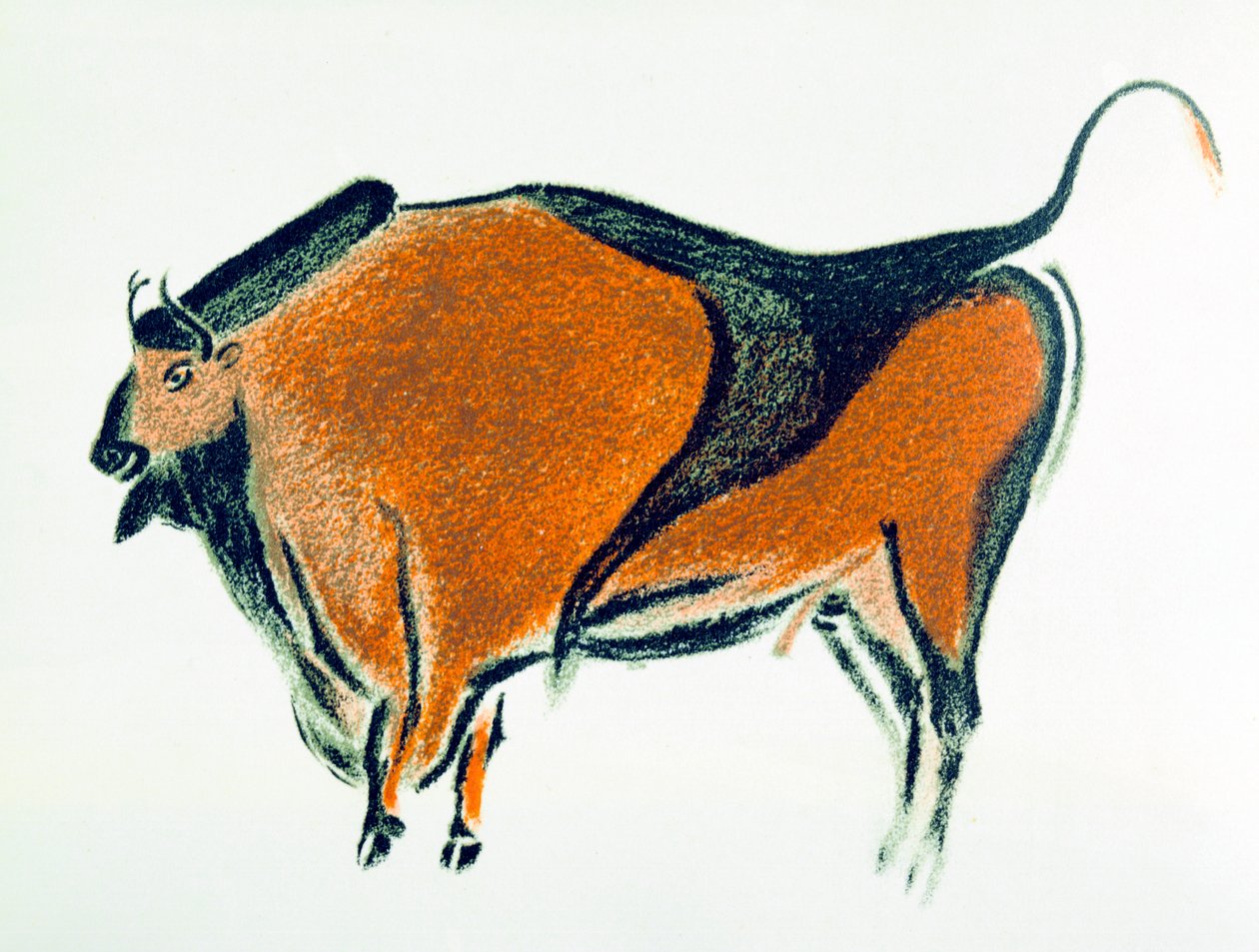 Bison, copy of a Palaeolithic cave painting at Altamira, northern Spain by Unbekannt