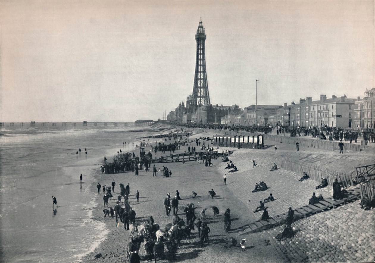 Blackpool - View of the Front, Showing the Tower by Unbekannt