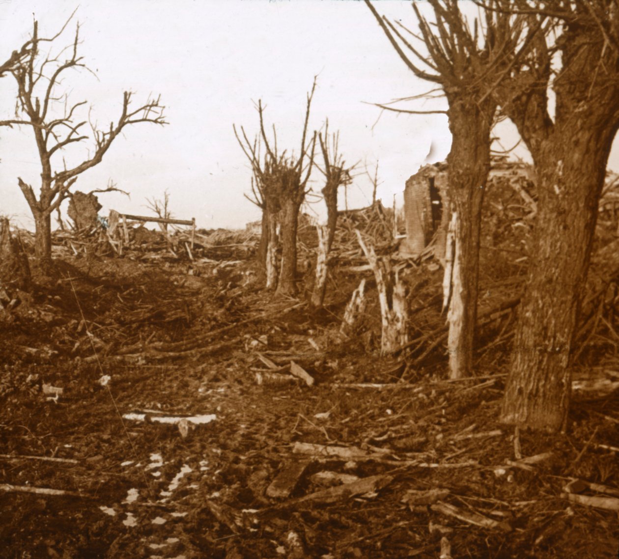Blasted Landscape, Belloy-en-Santerre, Northern France, c1914-c1918 by Unbekannt