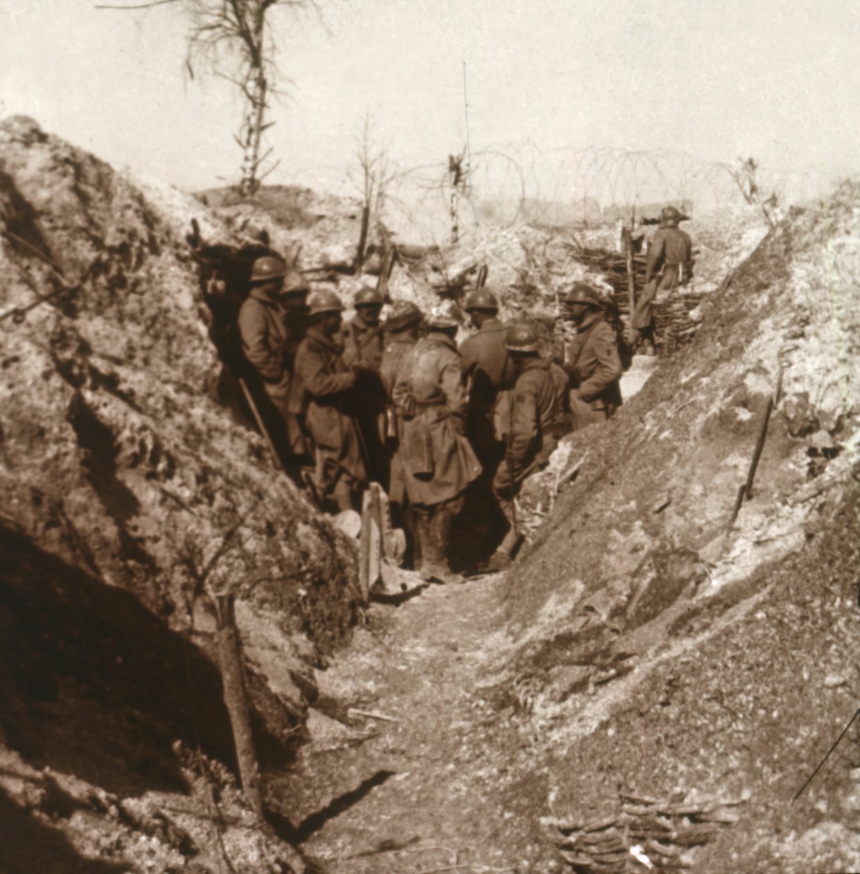 Bois de la Grille before attack, northern France, c1914-c1918 by Unbekannt