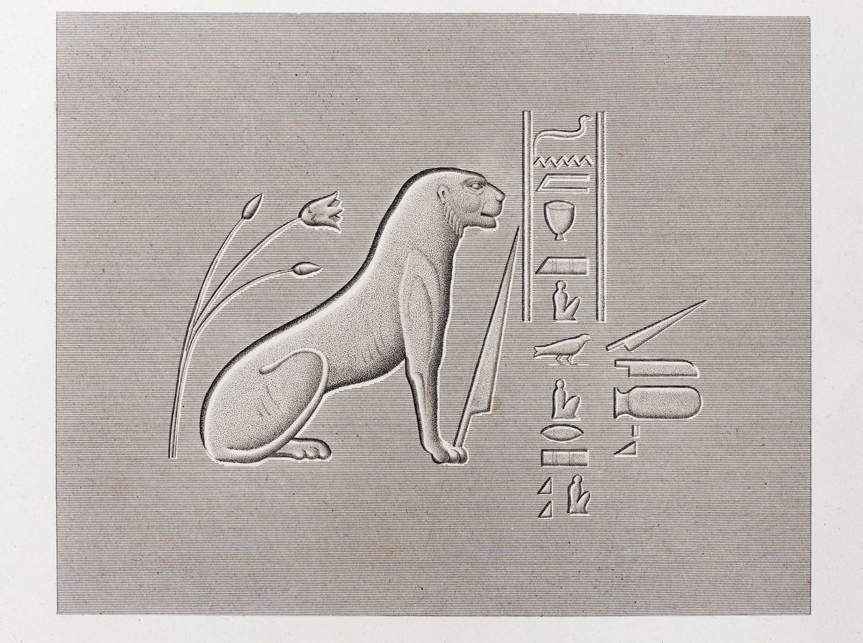Book: Description of Egypt by Unbekannt
